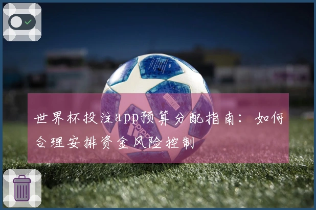 世界杯投注app预算分配指南：如何合理安排资金风险控制