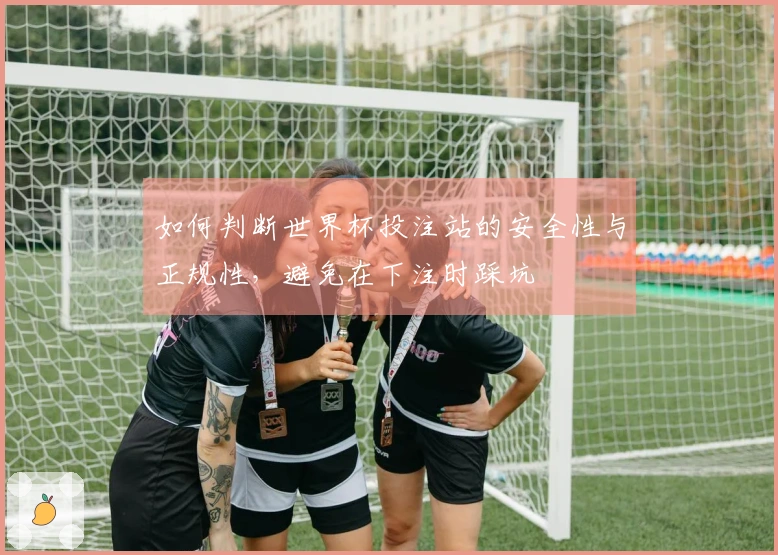 如何判断世界杯投注站的安全性与正规性，避免在下注时踩坑